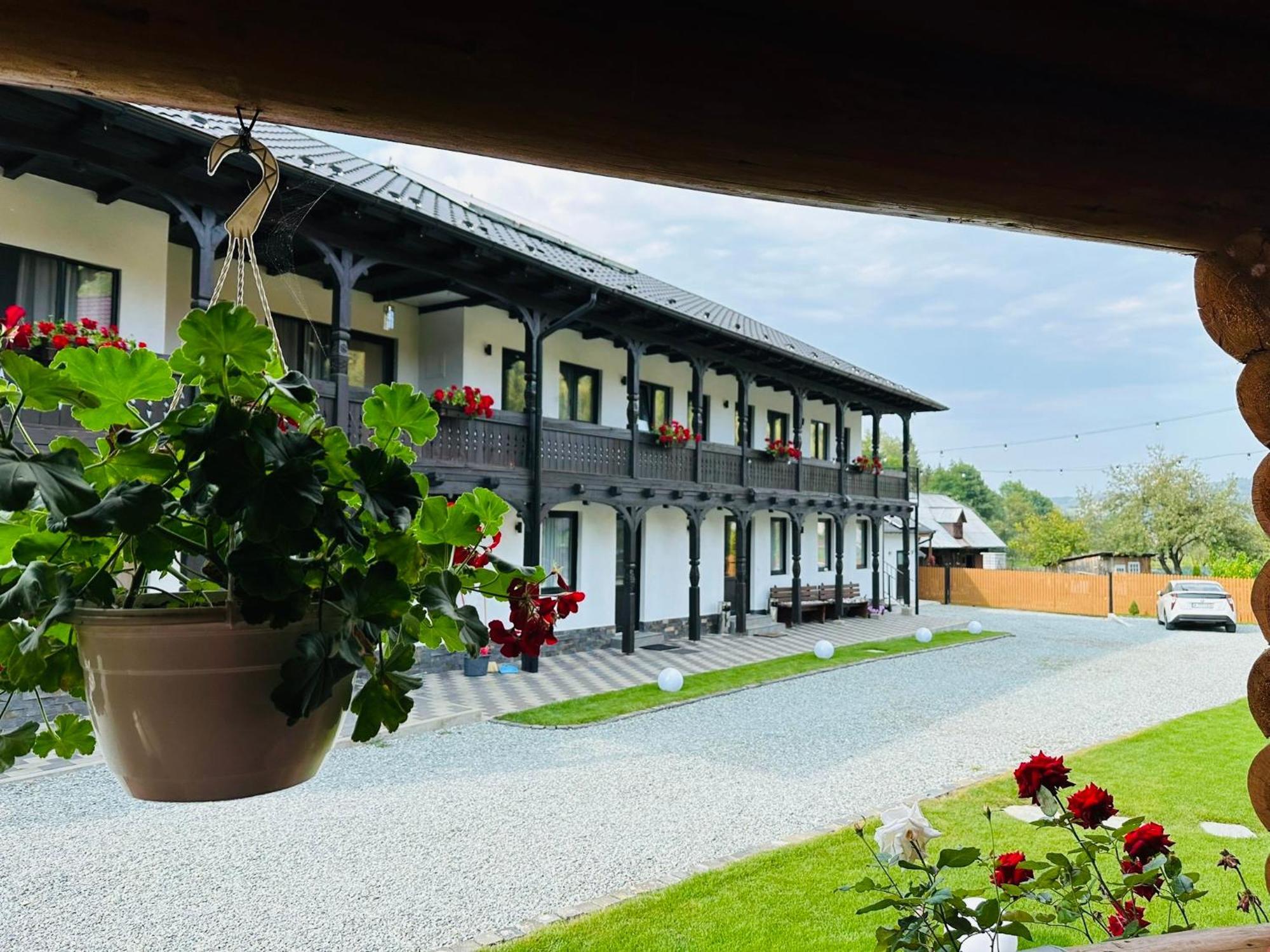 Pensiunea Suci Botiza Exterior photo